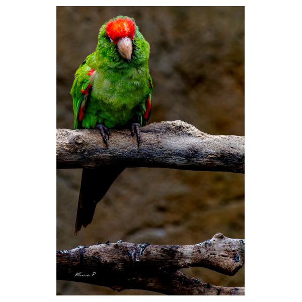 PHOTO84, CLUB, 84 , LUBERON